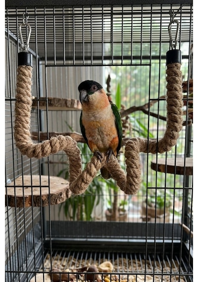 Mivra Pets Esnek Kuş Tüneği 50 Cm 2 Cm Doğal Jüt