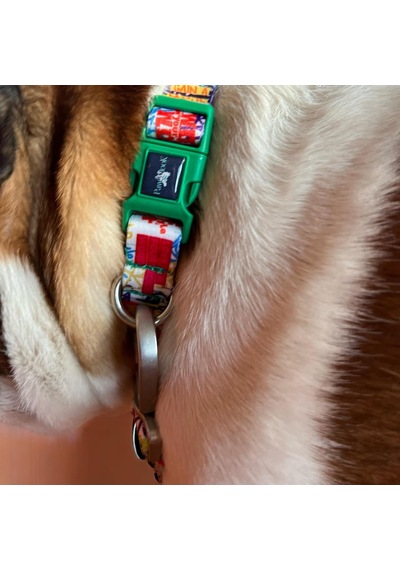 Köpek Boyun Tasması Geri Dönüştürülmüş, Ayarlanabilir, Emniyet Tokalı Küçük Ve Büyük Irklar İçin Tüy Toplamaz, Yıkanabilir, Airtag & İsimlik Uyumlu, Beyaz Small