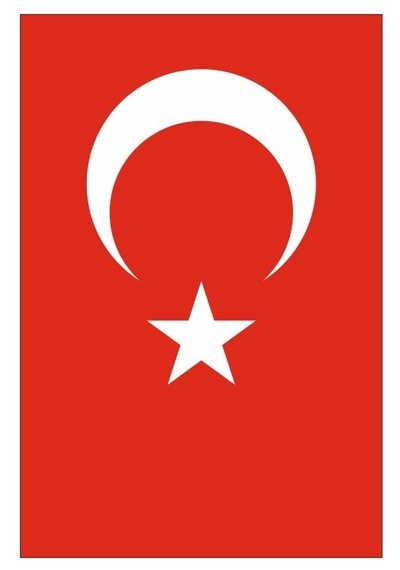 Yıldızsan Bayrak 100x150 Cm Alpaka Kumaş Türk Bayrağı