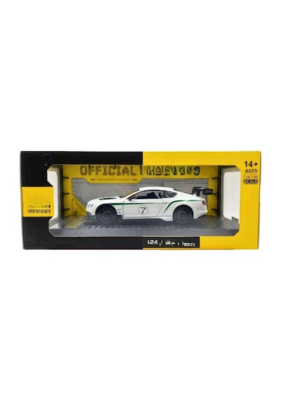 1/24 Gt3 Model Araba