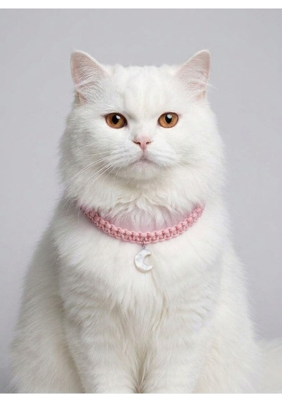 Pembe El Örgüsü Makrome Kedi Tasması 27 Cm - Ay Figürlü Charm Şık Kedi Boyun Tasması