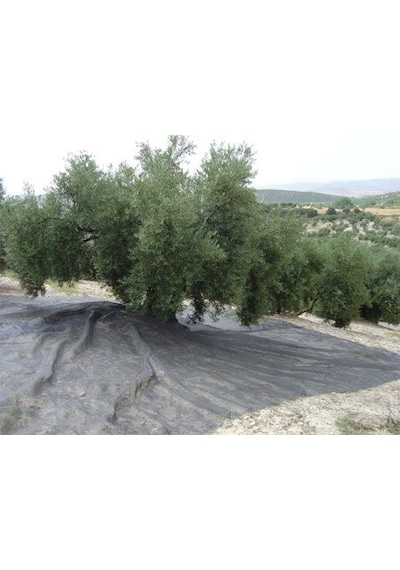Pellenc Cotexa Zeytin Toplama Filesi 6x12 Mt Yaygı