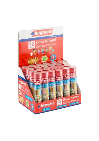 Bigpoint Metal Tüpde Kuru Boya Kalemi 12 Renk X 24 Adet Diğer
