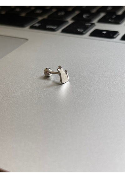 Cerrahi Çelik Tragus Helix Kıkırdak Conch Minimal Kedili Piercing Beyaz Altın