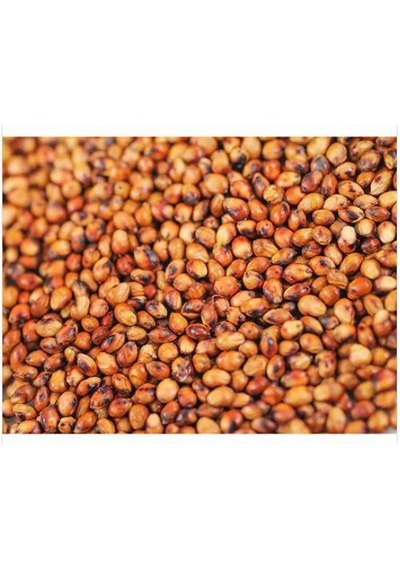 Sorgum Sudan Otu Tohumu 5 KG N117473