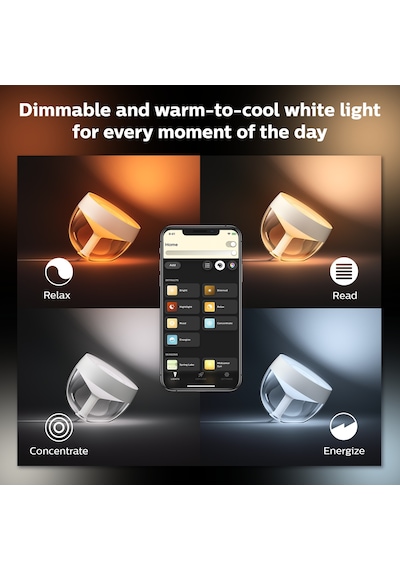 Philips Hue Iris - Silver (Special Edition)