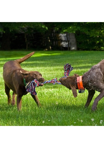 Valkyrie 2 Li Büyük Boy Köpek Halat Oyuncağı Seti Isırma Çekiştir