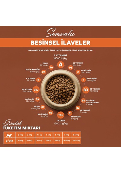 Tr Kısırlaştırılmış Somonlu Yetişkin Kuru Kedi Maması 2 Kg - Vitamin İlaveli Tam Ve Dengeli Kilo Kontrolü, Y