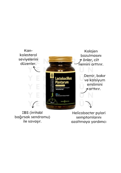 Microbiome Lactobacillus Plantarum 30 Kapsül