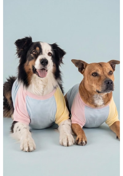 Bubbles Pastel Orta Ve Büyük Irk Köpek Tişörtü Lacivert Kırmızı Yazlık Köpek Kıyafeti