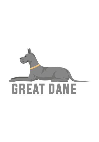 Paybuy Büyük Dane Köpek Türü Baskılı Kadın Tişört Beyaz