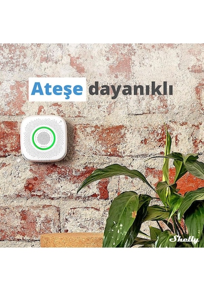 Shelly Gas Akıllı Cng Gaz Dedektörü