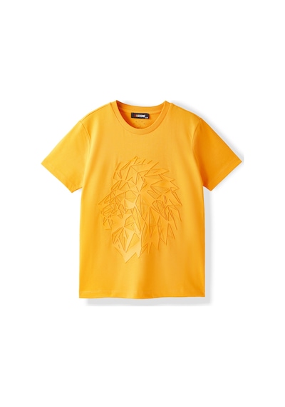 Gsstore Galatasaray Çocuk T-shirt C252099 Sarı
