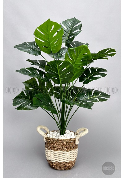 Yapay Monstera Deve Tabani Bi Tki Si 60 Cm Krem Orgulu Hasir Saksıda