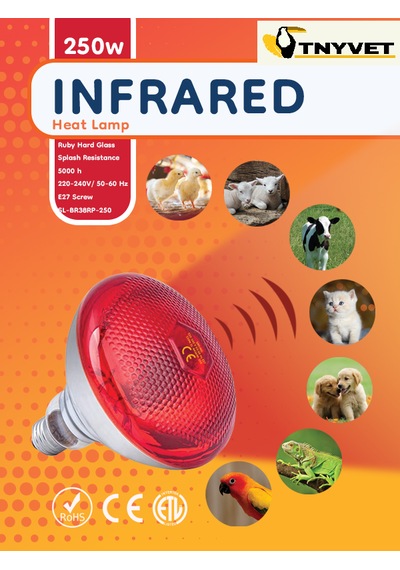 Isıtıcı Ampul Lamba Kırmızı 250 Watt / 2 Adet