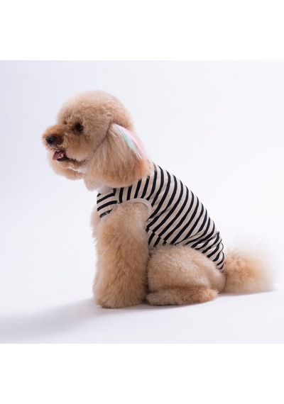 Sunrise Embroline Tişört Kedi Köpek Tişörtü-kedi Köpek Kıyafeti