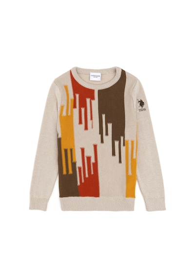 U.S. Polo Assn. Erkek Çocuk Taş Bisiklet Yaka Kazak 50293050-VR049