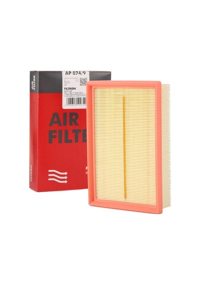 Filtron Hava Filtresi AP074/9