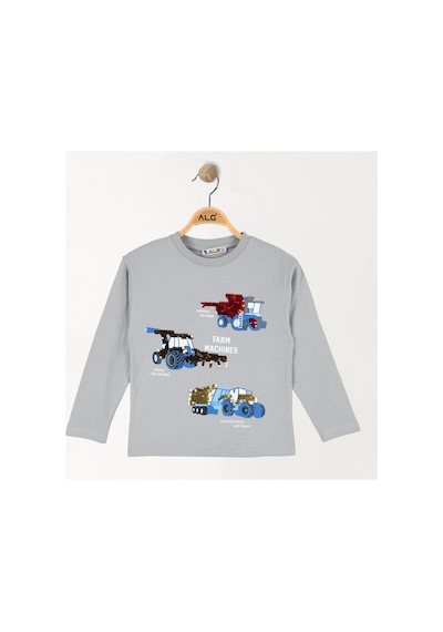 Alglıfe Erkek Çocuk Pullu Sweatshırt Gri