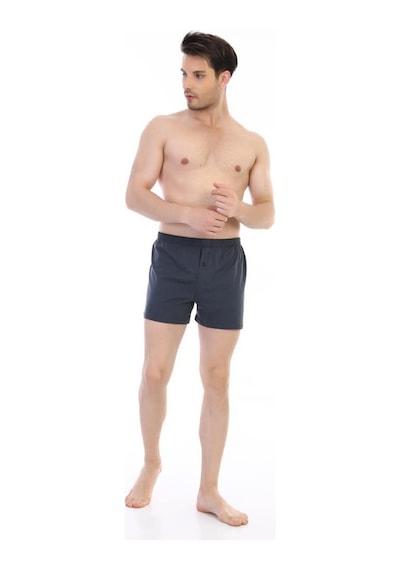 3 Adet Çift Kaplan Erkek Pamuklu Penye Boxer 805 Füme