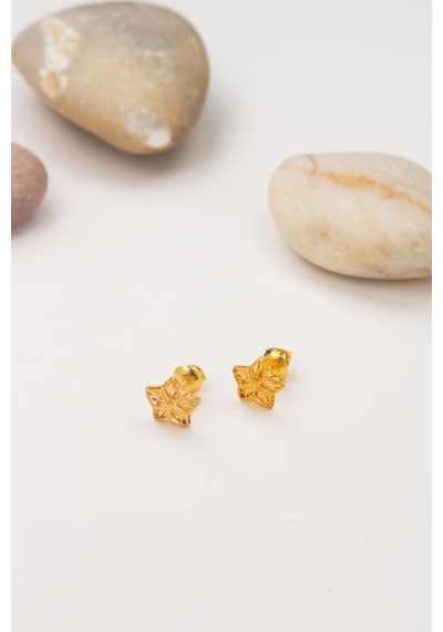 22 Ayar 1 Gram Yıldız Model Altın Küpe