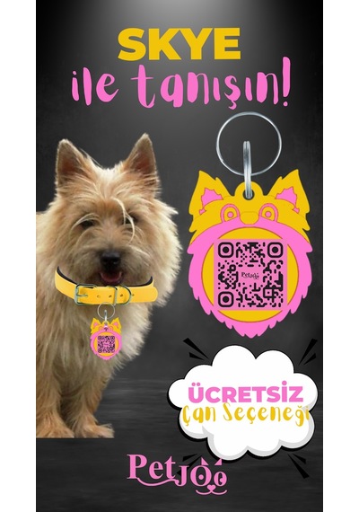 Petjoo 6.Skye Pembe-Sarı Qr'lı Köpek Künyesi
