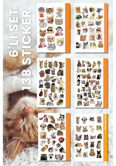 6'lı Kedi Sticker, Çıkartma 1