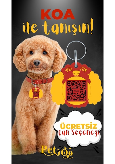 Petjoo 14.Koa Sarı-Kırmızı Qr'lı Köpek Künyesi