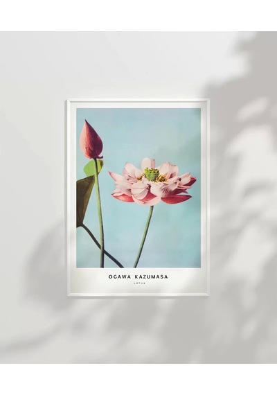 Çerçevesiz Poster Ogawa Kazumasa Lotus