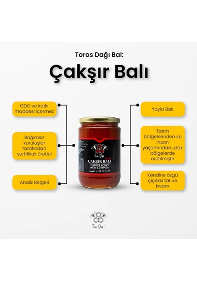 Toros Dağı Bal Çakşır Bal 860 G