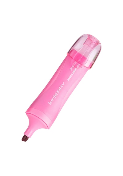 Berry Fosforlu Kalem Pastel 4lü Pet Çok Renkli