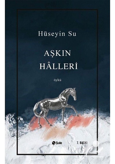 Aşkın Halleri - Hüseyin Su