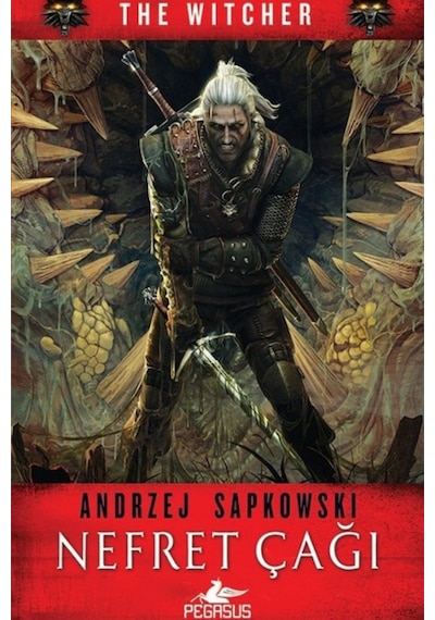Nefret Çağı - The Witcher 4