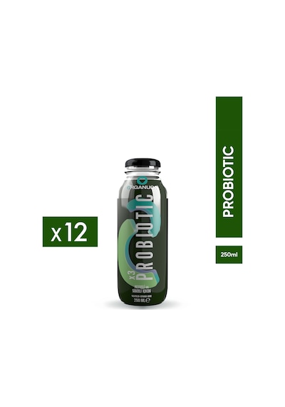 12'li Probiotic Smoothie 250ml Meyve-sebze Suyu/püresi