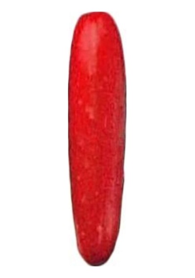 Nadir Ithal Kırmızı Salatalık Tohumu Ekim Seti 3 Tohum Red Cucumber Saksı Toprak Kombin