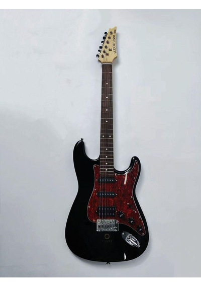 Ludorf Prime X3000 Elektro Gitar Profesyonel Seviye Siyah