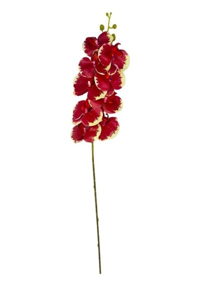 Yapay Çiçek Kırmızı Krem Islak Orkide Gerçeksi Doku Uzun Dal 90 Cm Diğer