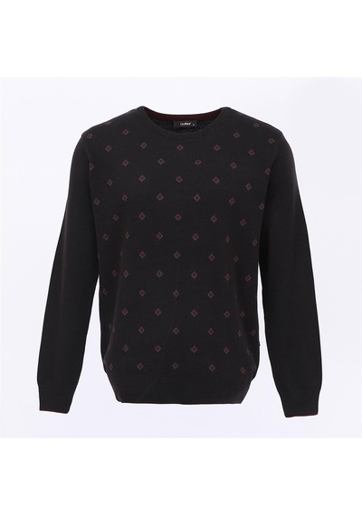 Dio Rise Erkek Uzun Kol İnce Sweatshirt - 189102 - Siyah Siyah