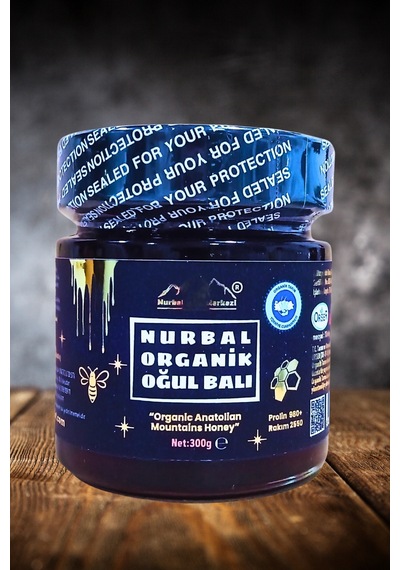 Nurbal Şifa Merkezi Organik Oğul Balı 300 G
