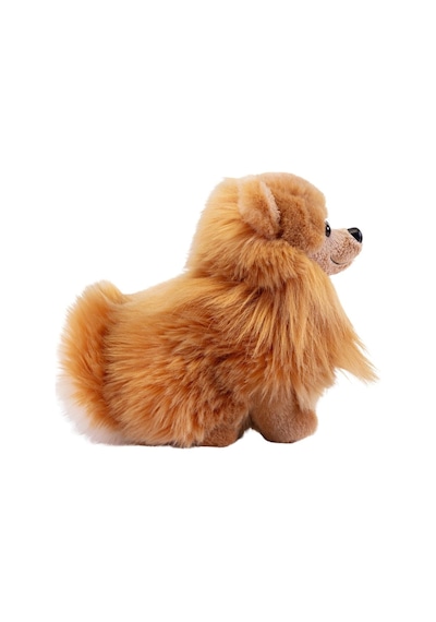 Trudi Pomerian Biscuit 22348 Çok Renkli
