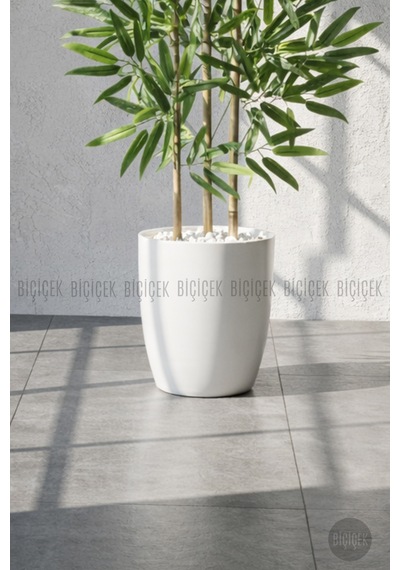 110 Cm Bambu Ağacı Beyaz Yakut Saksıda Bej