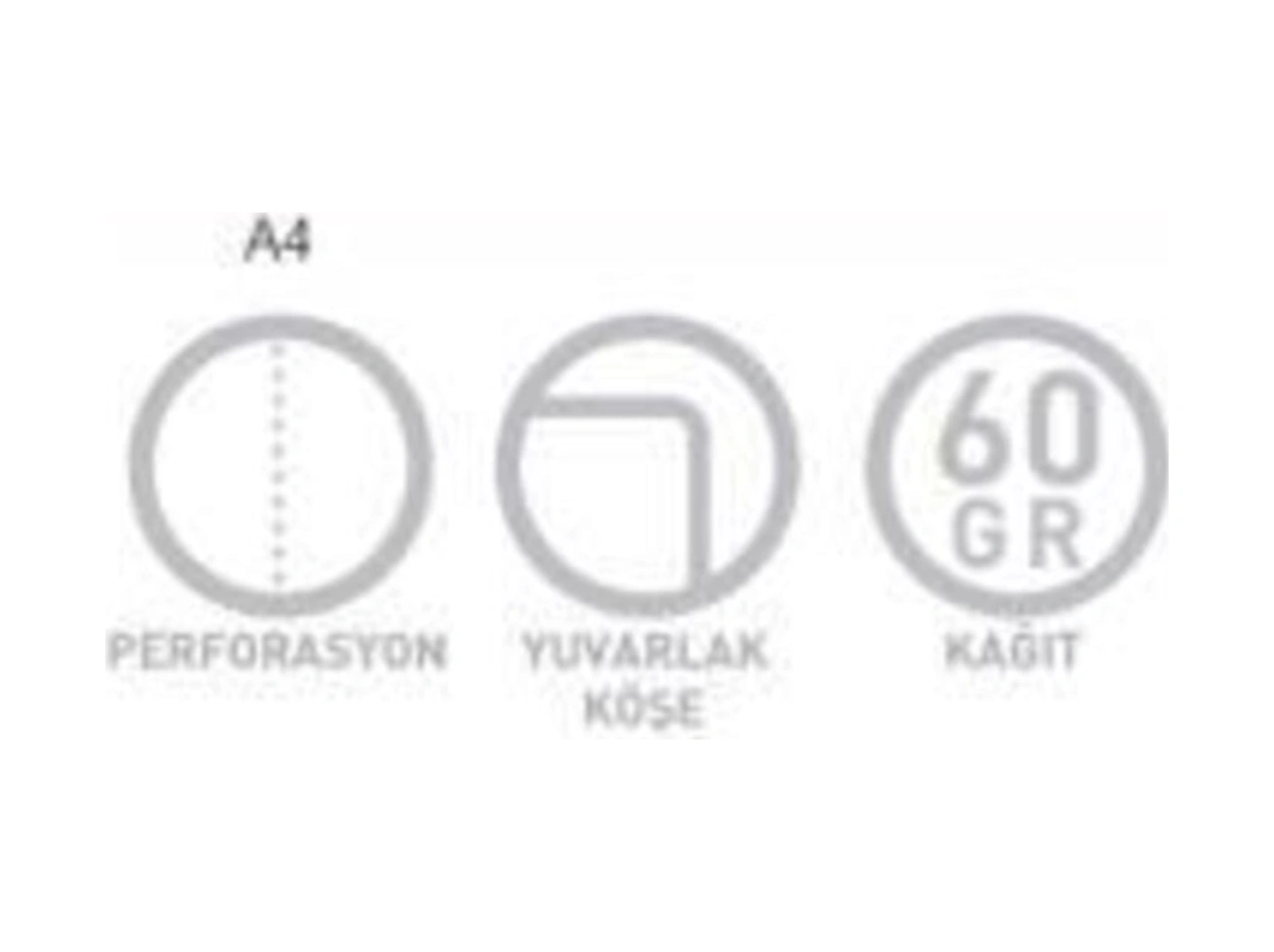 Winter A4 Spiralli Ofset Pp Kapak Defter 80 Yaprak Kareli 4 Lü Paket 1164