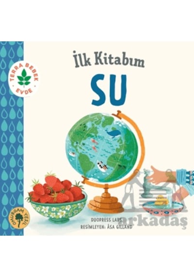 İlk Kitabım Su Omurgam Yeşil Yayınevi