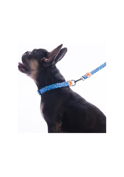 Charm Nazar Boncuğu Desenli Köpek Boyun Tasması Ayarlanabilir Köpek Tasması S Mavi