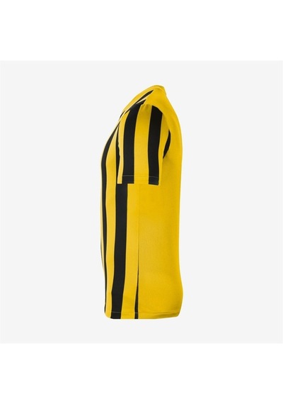 Nike M Striped Division Iv Jsy Erkek Forma Çok Renkli