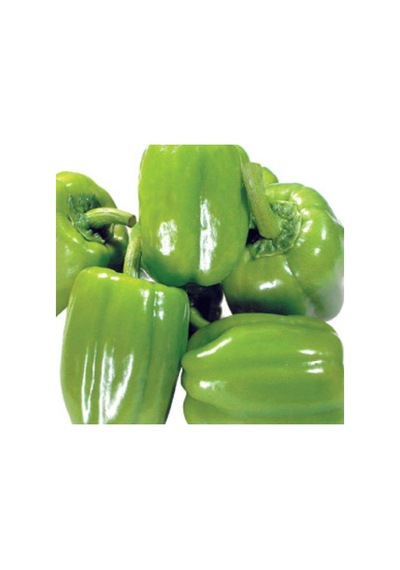 Yerli Ata Tohumu Dolma Biber 100 Adet