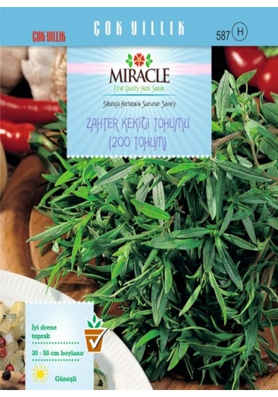 Miracle Zahter Kekiği Tohumu 200 Tohum