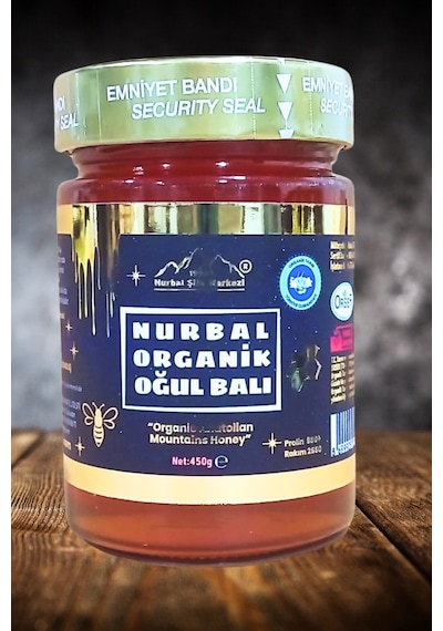 Nurbal Şifa Merkezi Organik Oğul Balı 450 G