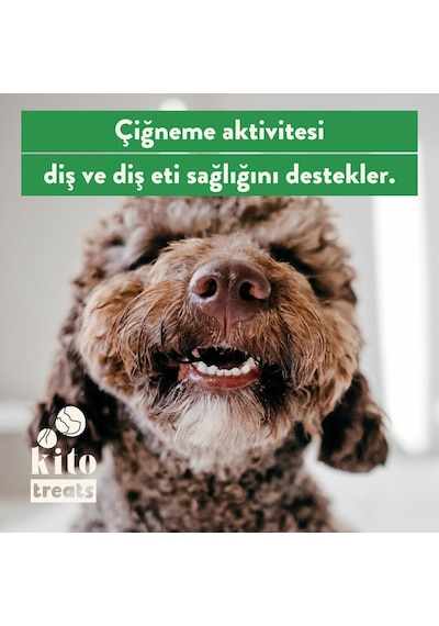 Kito Tavuk Boyun Çiğnemelik Köpek Ödül Maması%100 Doğal, Glutensiz, Organik 100 Gr Dog Treat