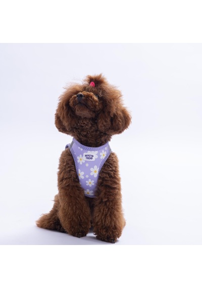 Purple Dream Göğüs Tasması Ve Sevk Kayışı Tasma Seti Papatya Desenli Kedi Köpek Göğüs Tasması Seti Lila